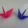 Pink Crane
