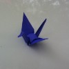 Blue Crane