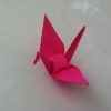 Pink Crane 2