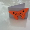 Butterly card