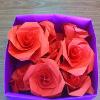 Box-o-roses