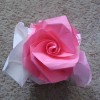 Pink Rose