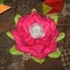 Pink Lotus