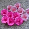 Fuschia and Pink Roses
