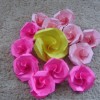 Assorted roses